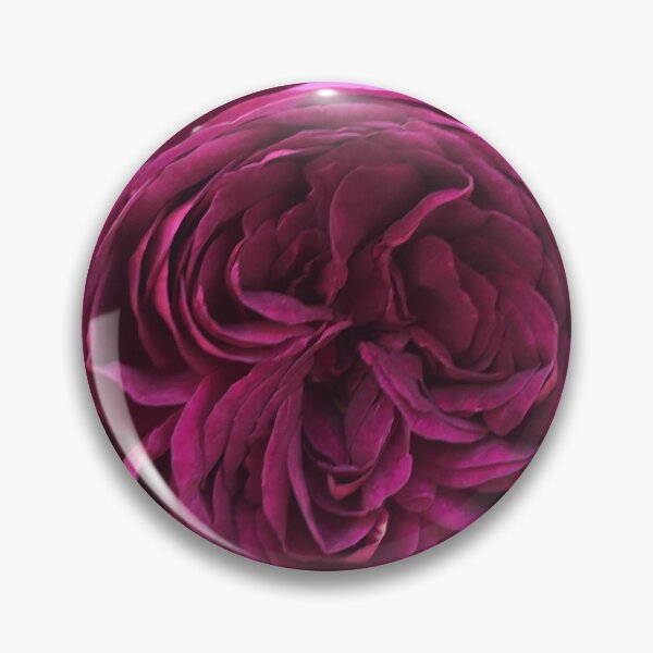 Item preview, Celestial Night Rose designed and sold by Roseland Garden Stickers.
