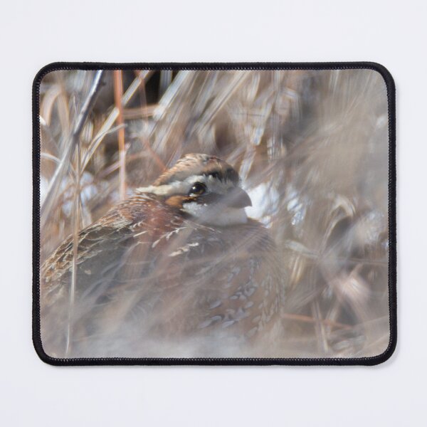 Item preview, It Is Too Cold To Move designed and sold by Debra Martz.