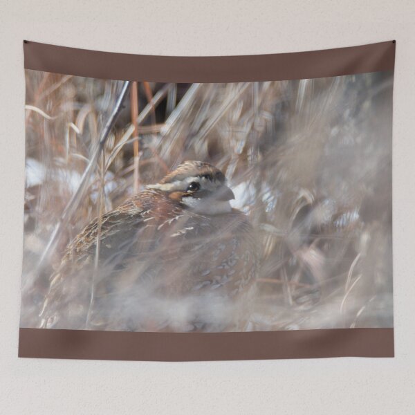Item preview, It Is Too Cold To Move designed and sold by Debra Martz.