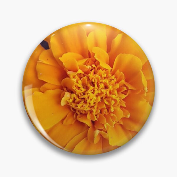 Artikelvorschau, Orange Ringelblume entworfen und verkauft von Blissfully-MK.