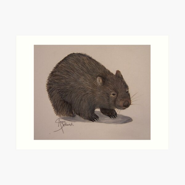 Wombat Art Print