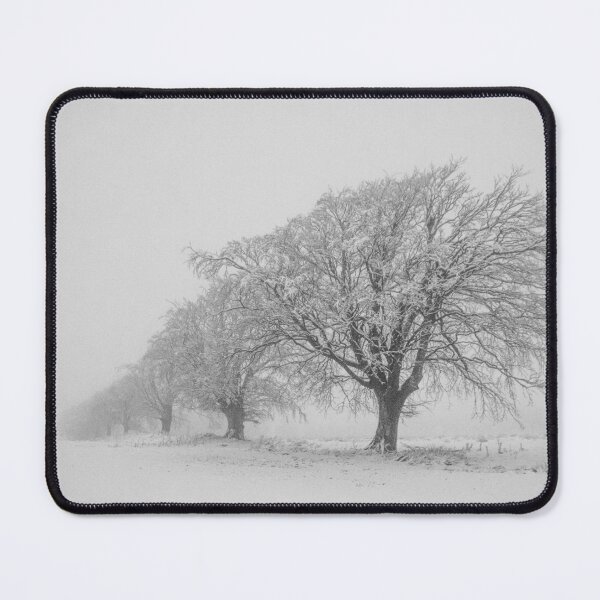 Item preview, Beech trees in snow designed and sold by LSmith0211.