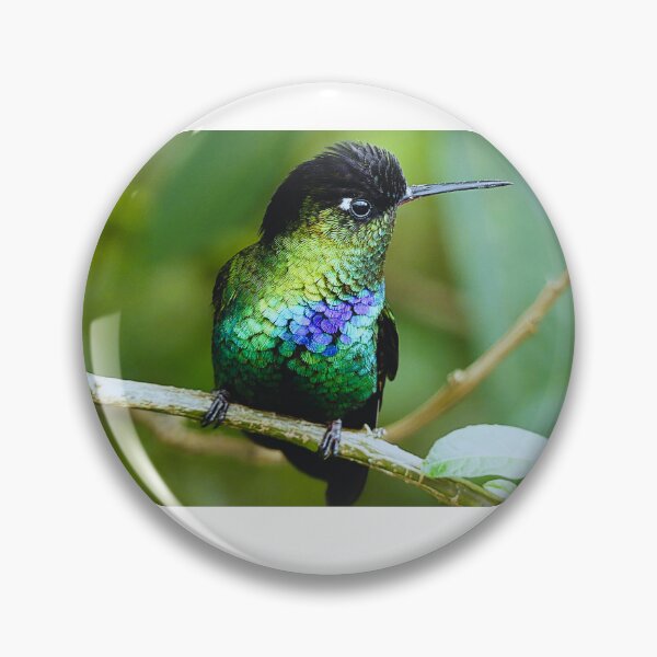 Item preview, Little hummer designed and sold by Merlin13.