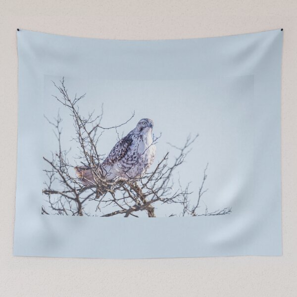 Item preview, One Very Focused Hawk designed and sold by Debra Martz.