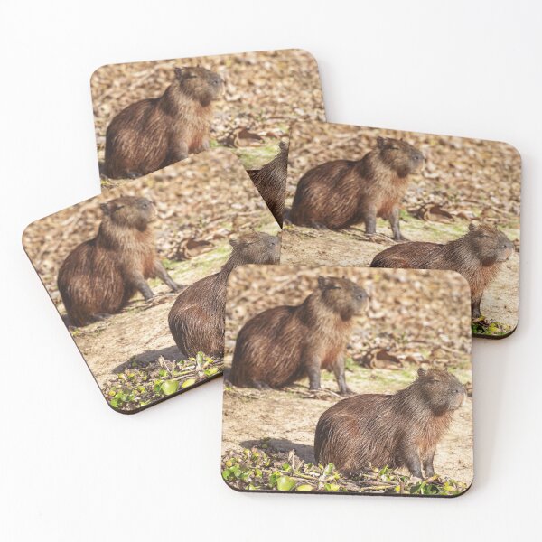 Item preview, Sunbathing Capybaras Pantanal Brazil designed and sold by PhotoArt by Joan Carroll.
