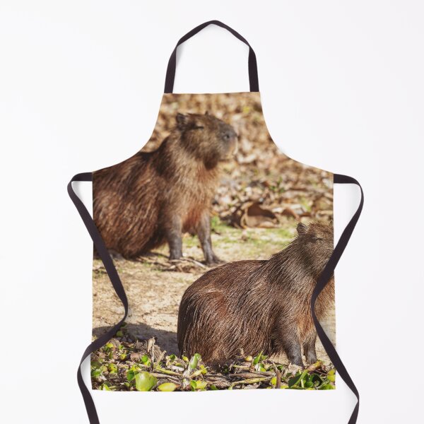 Item preview, Sunbathing Capybaras Pantanal Brazil designed and sold by PhotoArt by Joan Carroll.