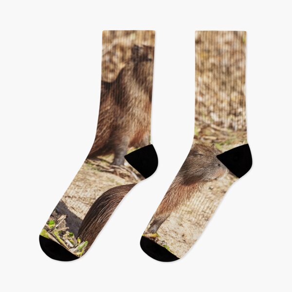Item preview, Sunbathing Capybaras Pantanal Brazil designed and sold by PhotoArt by Joan Carroll.