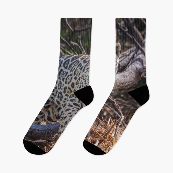 Item preview, Jaguar on the Prowl 2 Pantanal Brazil designed and sold by PhotoArt by Joan Carroll.