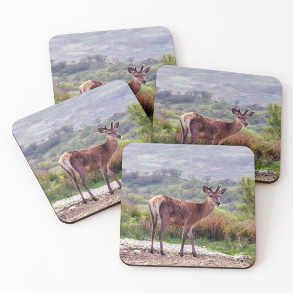 Item preview, Wild Roebuck on the Hillside, Islay, Scotland designed and sold by Kasia Design.