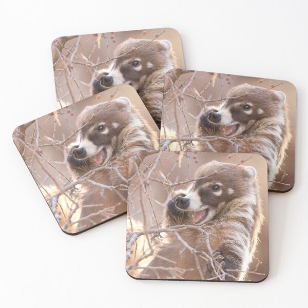 Item preview, Coati Joy designed and sold by Sue  Cullumber.