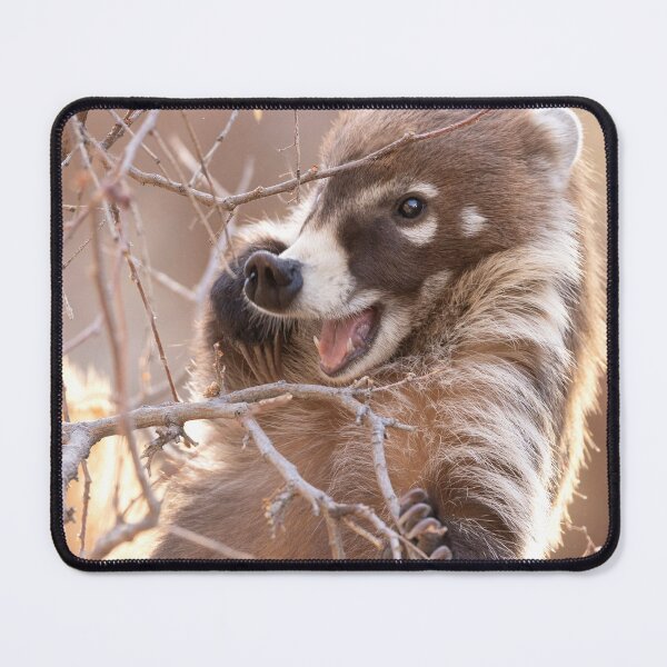 Item preview, Coati Joy designed and sold by Sue  Cullumber.