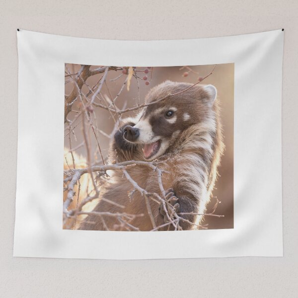 Item preview, Coati Joy designed and sold by Sue  Cullumber.