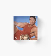 Arnold Acrylblock