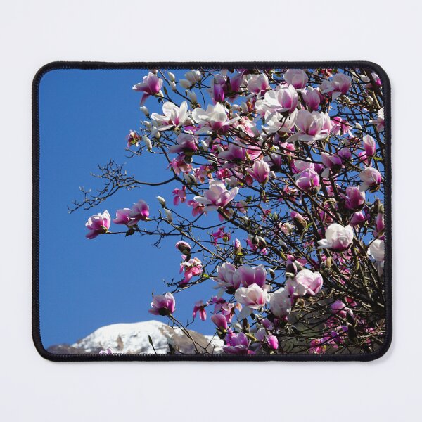 Item preview, Magnolias Parco Botanico del Gambarogno Switzerland designed and sold by nikawanders.