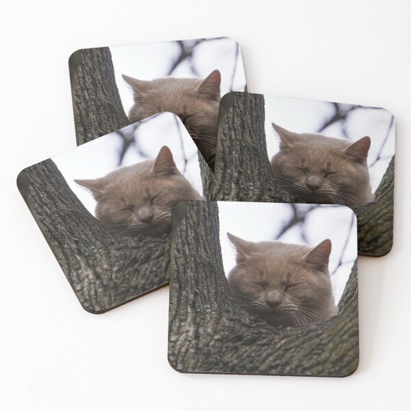 Item preview, A Nap Up High designed and sold by TheeForestFox Shop.