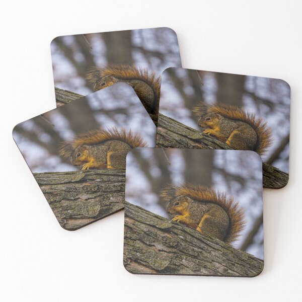 Item preview, Munching On A Walnut designed and sold by TheeForestFox Shop.