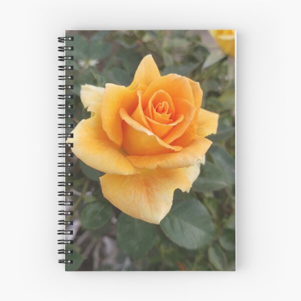 Item preview, Plants roses nature sky designed and sold by Obaidaamer.