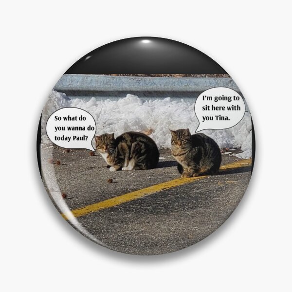 Artikelvorschau, Katzenmemes entworfen und verkauft von YHWH Photography.