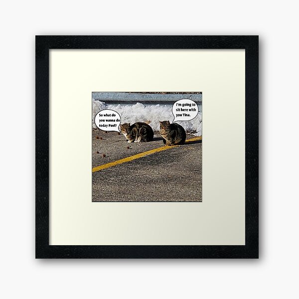 Item preview, Cat Memes designed and sold by J+J Photography.