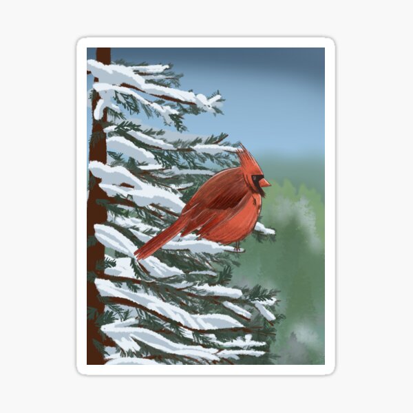 Bright Red Cardinal in a Snowy Pine Tree Sticker