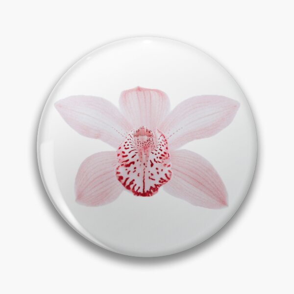 Artikelvorschau, Rosa Orchidee entworfen und verkauft von njsshop.
