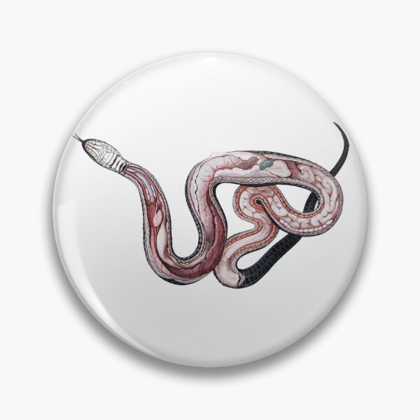 Item preview, Anatomy of Grass Snake Vintage Illustration  designed and sold by HawthorneFlame.
