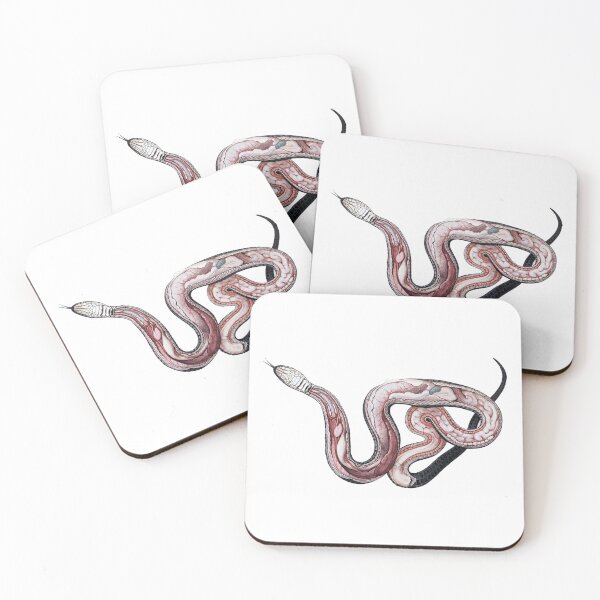 Item preview, Anatomy of Grass Snake Vintage Illustration  designed and sold by HawthorneFlame.