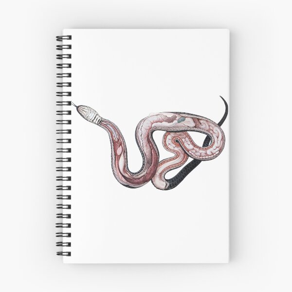 Item preview, Anatomy of Grass Snake Vintage Illustration  designed and sold by HawthorneFlame.