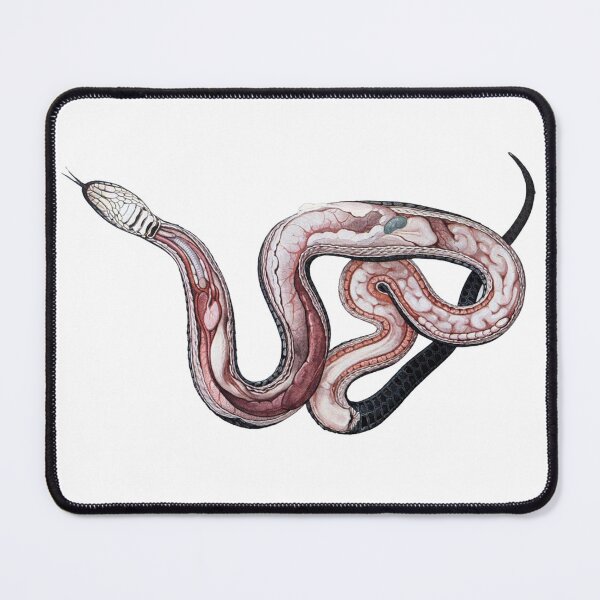Item preview, Anatomy of Grass Snake Vintage Illustration designed and sold by HawthorneFlame.