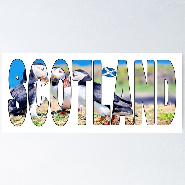Item preview, SCOTLAND - Puffins on the Cliff Edge Scottish Highlands designed and sold by Adam Gormley.
