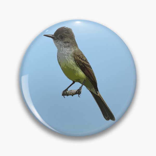 Item preview, Dusky-capped Flycatcher Color Design  designed and sold by designsasstultd.