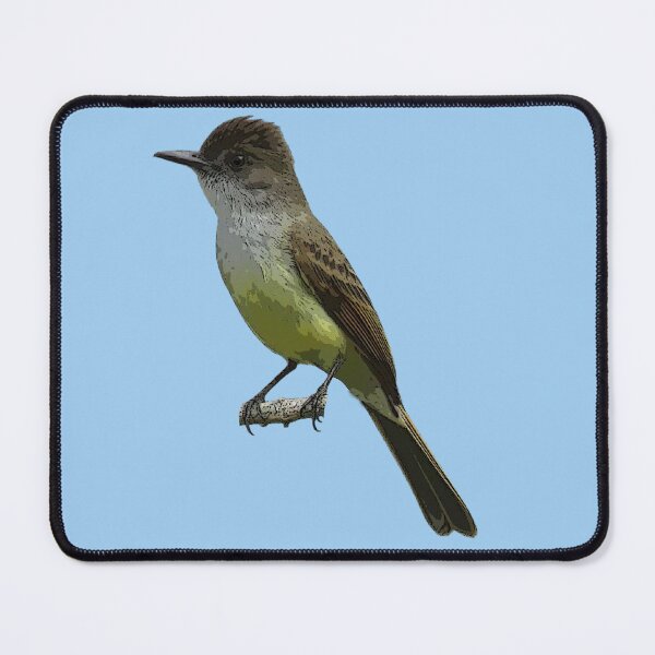 Item preview, Dusky-capped Flycatcher Color Design designed and sold by designsasstultd.