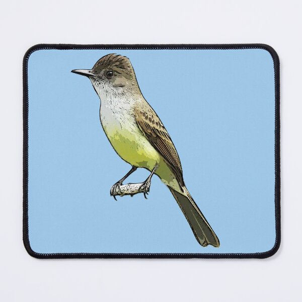 Item preview, Dusky-capped Flycatcher Black Alternate Design designed and sold by designsasstultd.