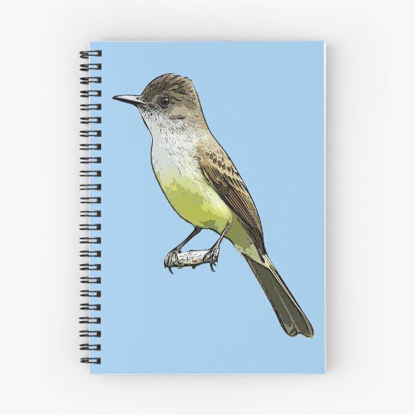 Item preview, Dusky-capped Flycatcher Black Alternate Design  designed and sold by designsasstultd.