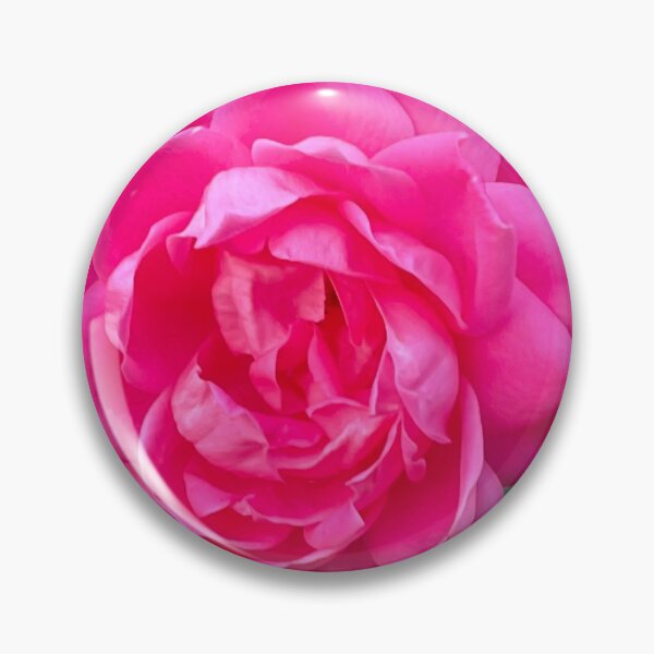 Item preview, Bright Pink Rose Photograph designed and sold by Shannon Greve.