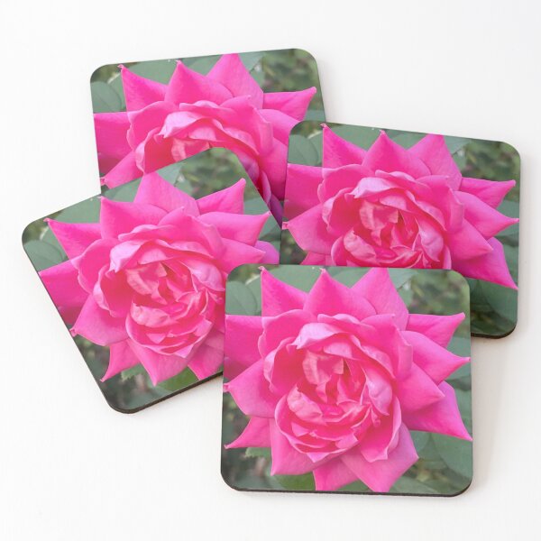 Item preview, Bright Pink Rose Photograph designed and sold by Shannon Greve.