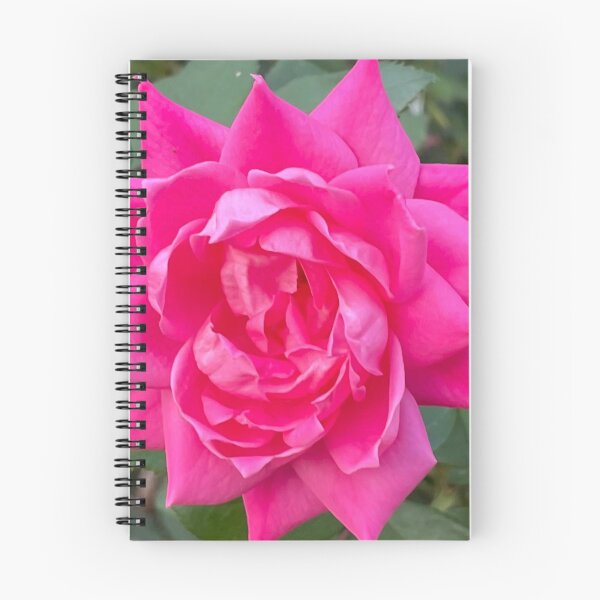 Item preview, Bright Pink Rose Photograph designed and sold by Shannon Greve.