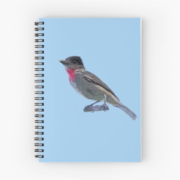 Item preview, Rose-throated Becard Color Design  designed and sold by designsasstultd.