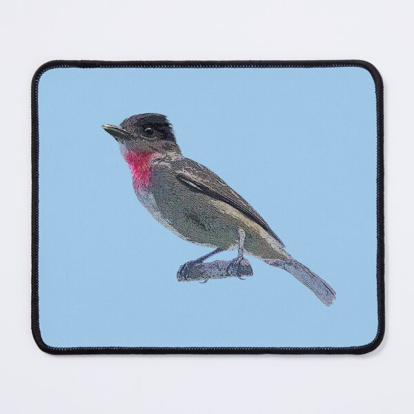 Item preview, Rose-throated Becard Color Design  designed and sold by designsasstultd.