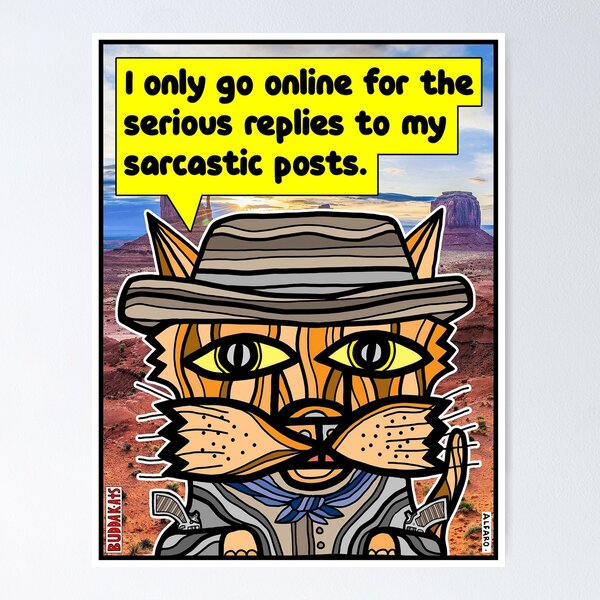 "I only go online for the serious replies to my sarcastic posts." Poster