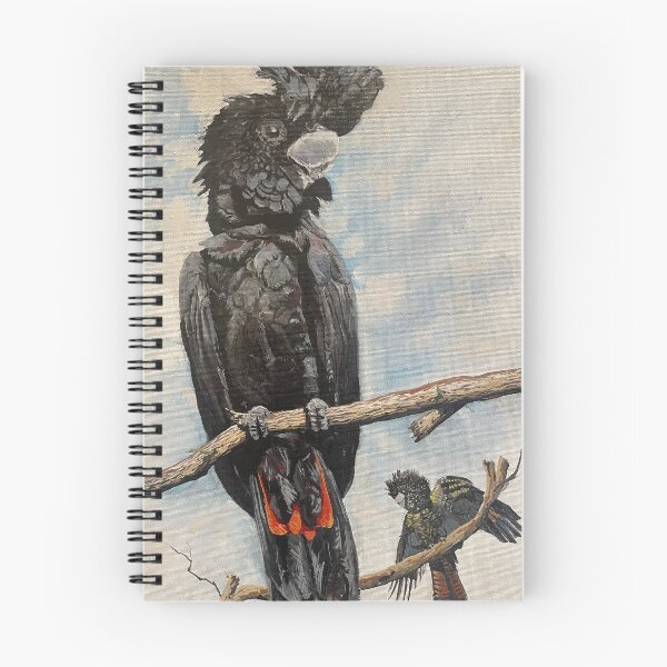 Item preview, Black cockatoo  designed and sold by ThreeCornerJack.