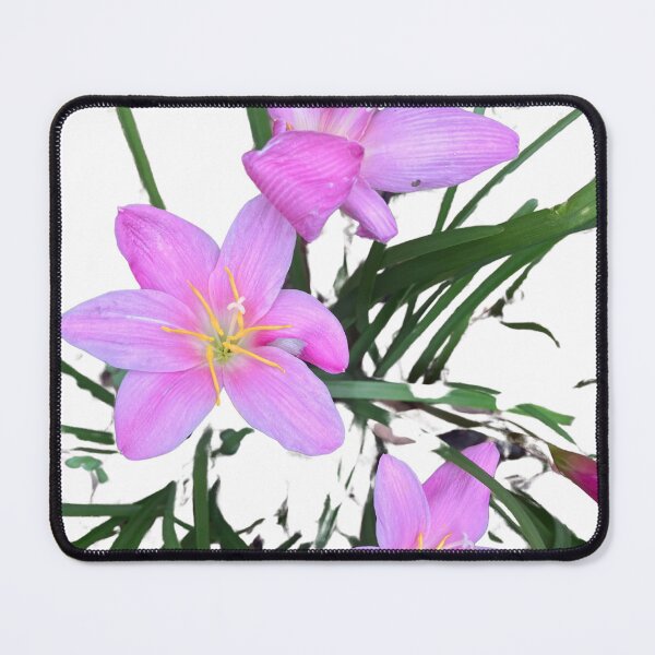 Item preview, Mauve Flowers designed and sold by Andykinoz.