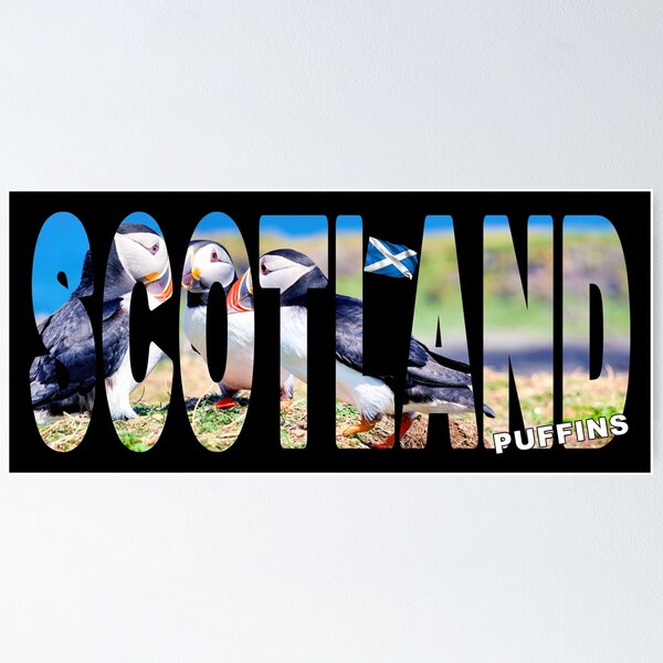 Item preview, SCOTLAND Puffins - on the Cliff Edge Scottish Highlands designed and sold by Adam Gormley.