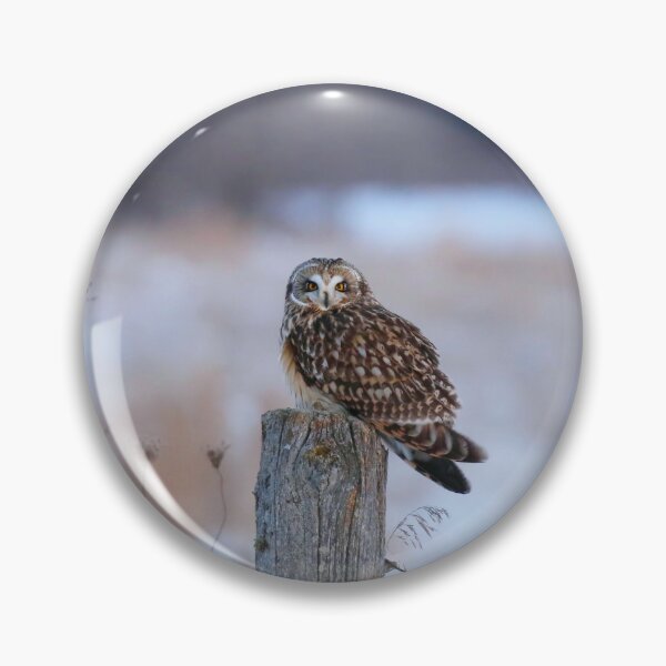 Item preview, Winter short eared owl designed and sold by locustgirl.