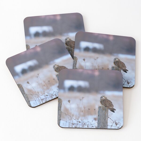 Item preview, Winter short eared owl designed and sold by locustgirl.