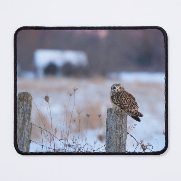 Item preview, Winter short eared owl designed and sold by locustgirl.