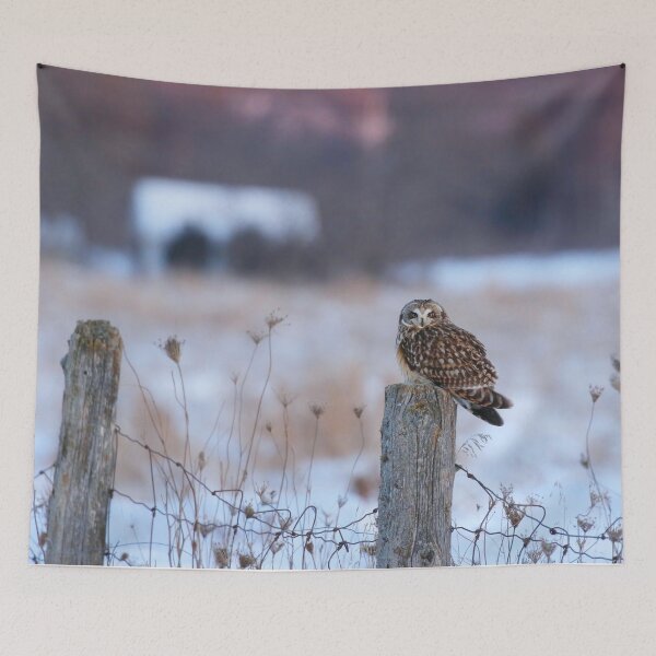 Item preview, Winter short eared owl designed and sold by locustgirl.