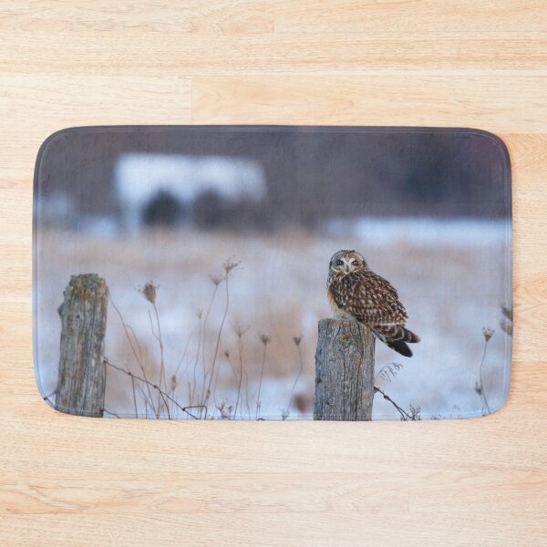 Item preview, Winter short eared owl designed and sold by locustgirl.