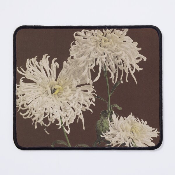 Item preview, White Chrysanthemum designed and sold by LegacyPressCo.