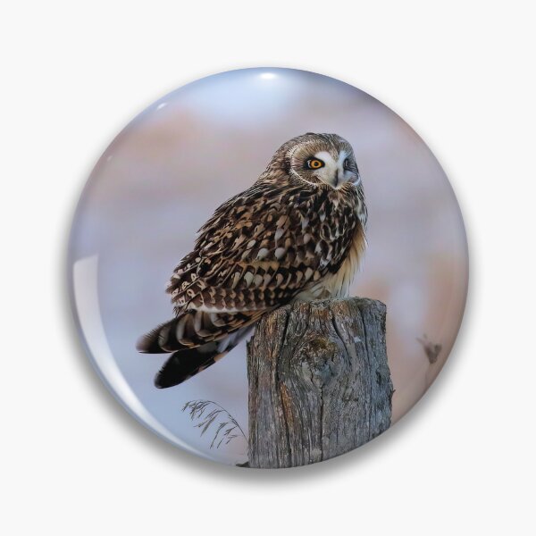 Item preview, Short eared owl designed and sold by locustgirl.